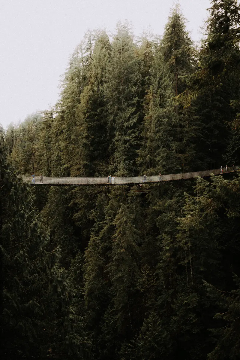 Bridge bold, Canada