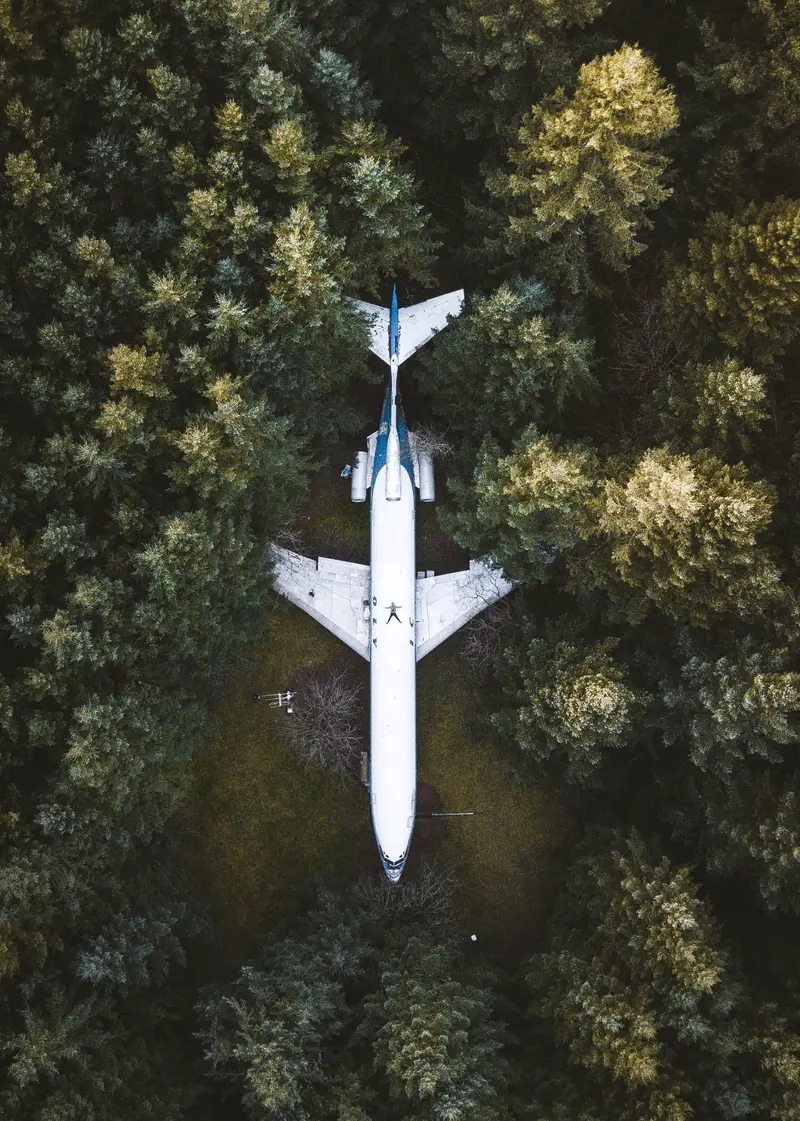 IN PLANE SIGHT