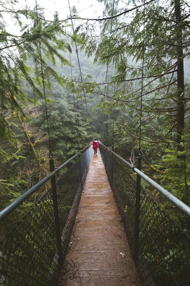 DRIFT CREEK FALLS