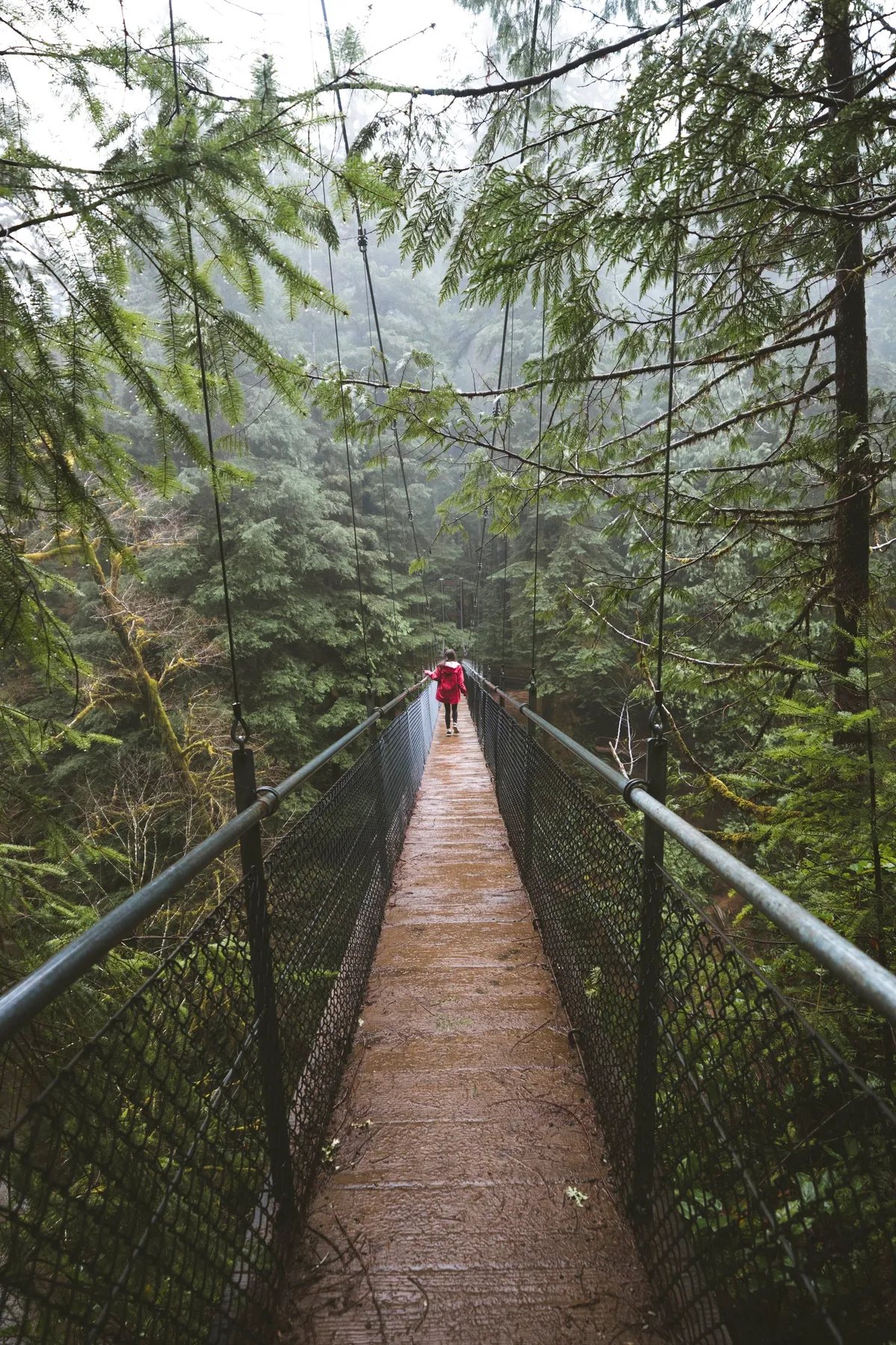 Drift Creek Falls Suspension Bride - Shot on NIKON D5600 with Tamron 14mm F/2.8