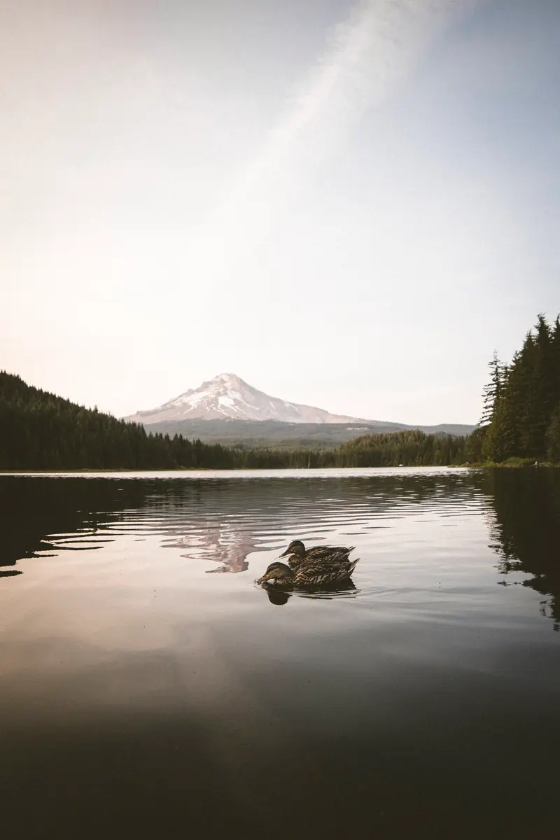 Oregon, photo 16 of 16