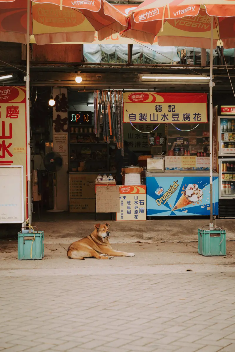 Hong Kong, photo 2 of 6