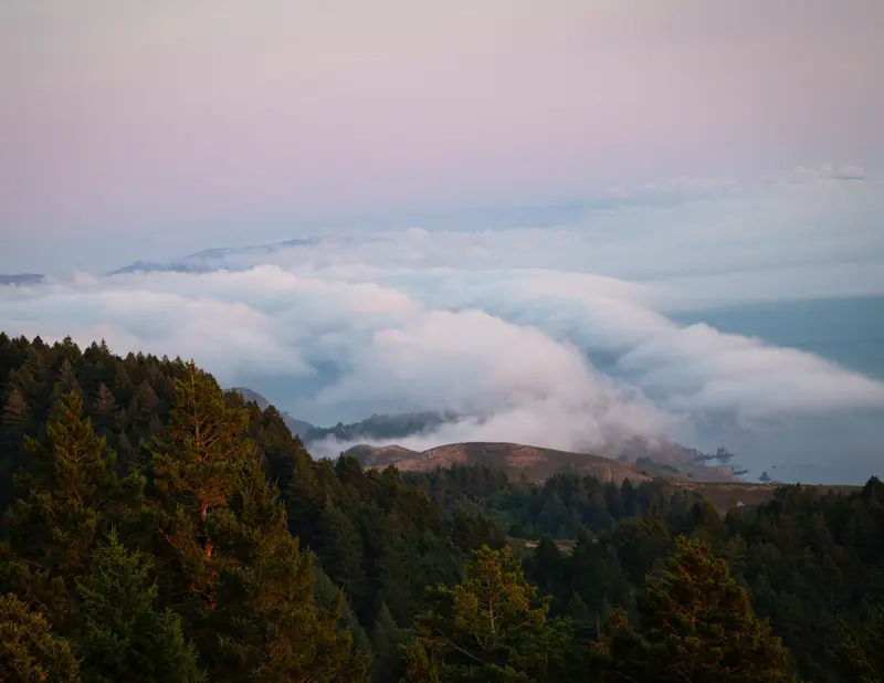 Fog, California