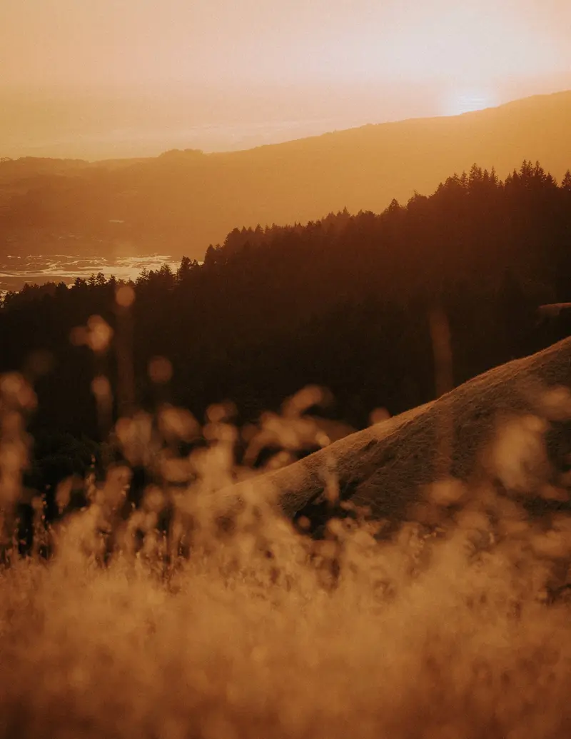 Golden hills, California