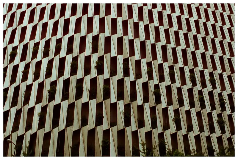Nikon FM2 film photo 27 of 86