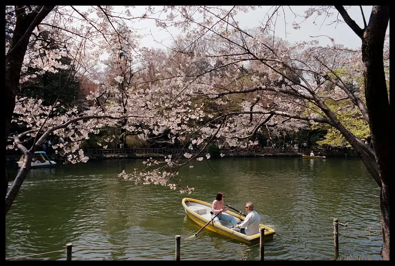 Nikon FM2 film photo 18 of 86