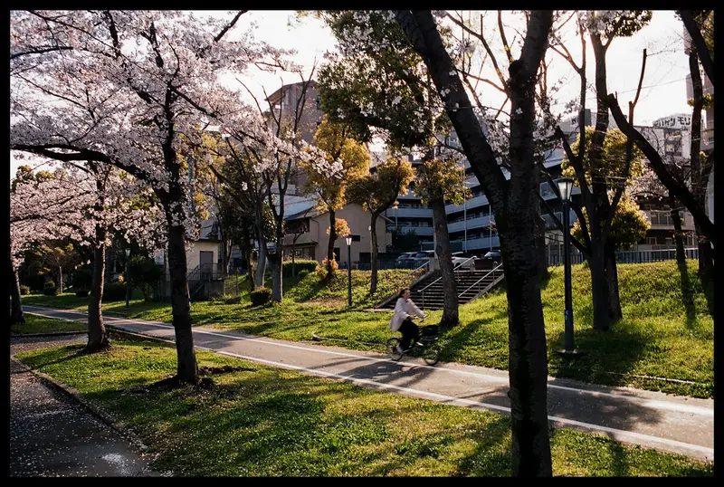 Nikon FM2 film photo 4 of 86
