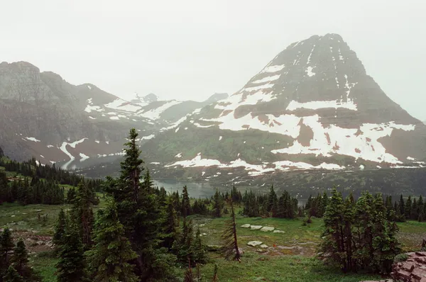 TIFF vs JPEG Film Scans: Are TIFF Scans Worth Paying For?